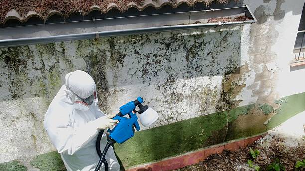 Top rated local Mold Cleanup specialists in Riverdale, MD